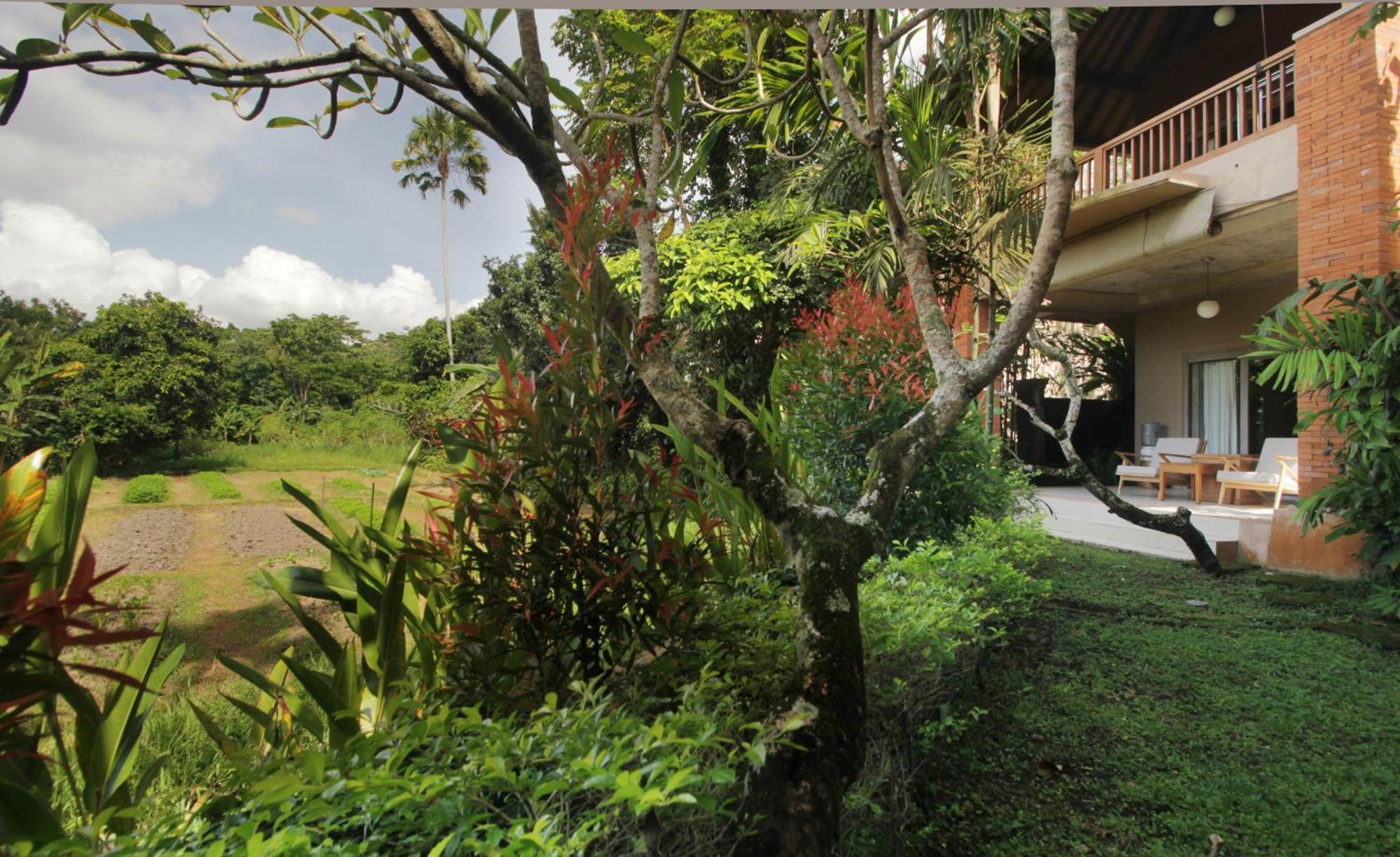 Tegal Sari Accommodation Ubud Εξωτερικό φωτογραφία